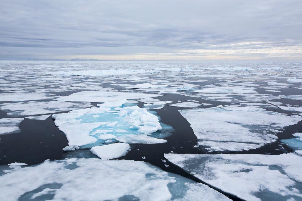 GLOBAL WARMING IMAGES / WWF Arktisten merialueiden ja