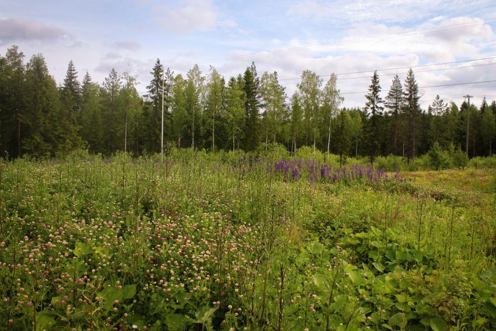 Liite 1: Kuvat
