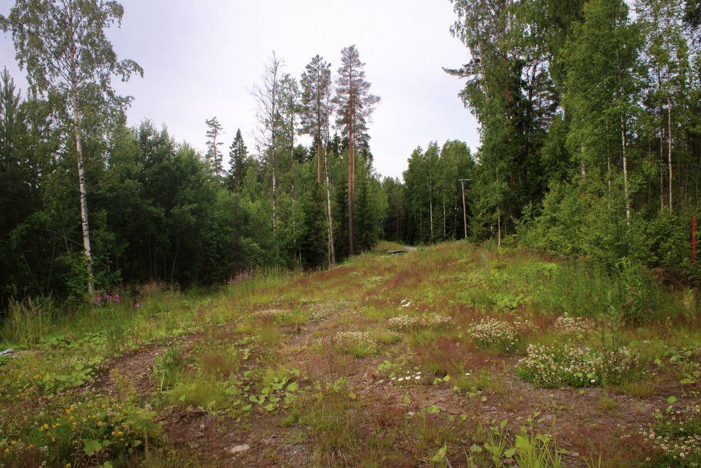 kuviolla 1.