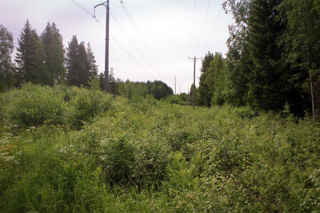 Kuva 7: Voimalinjan