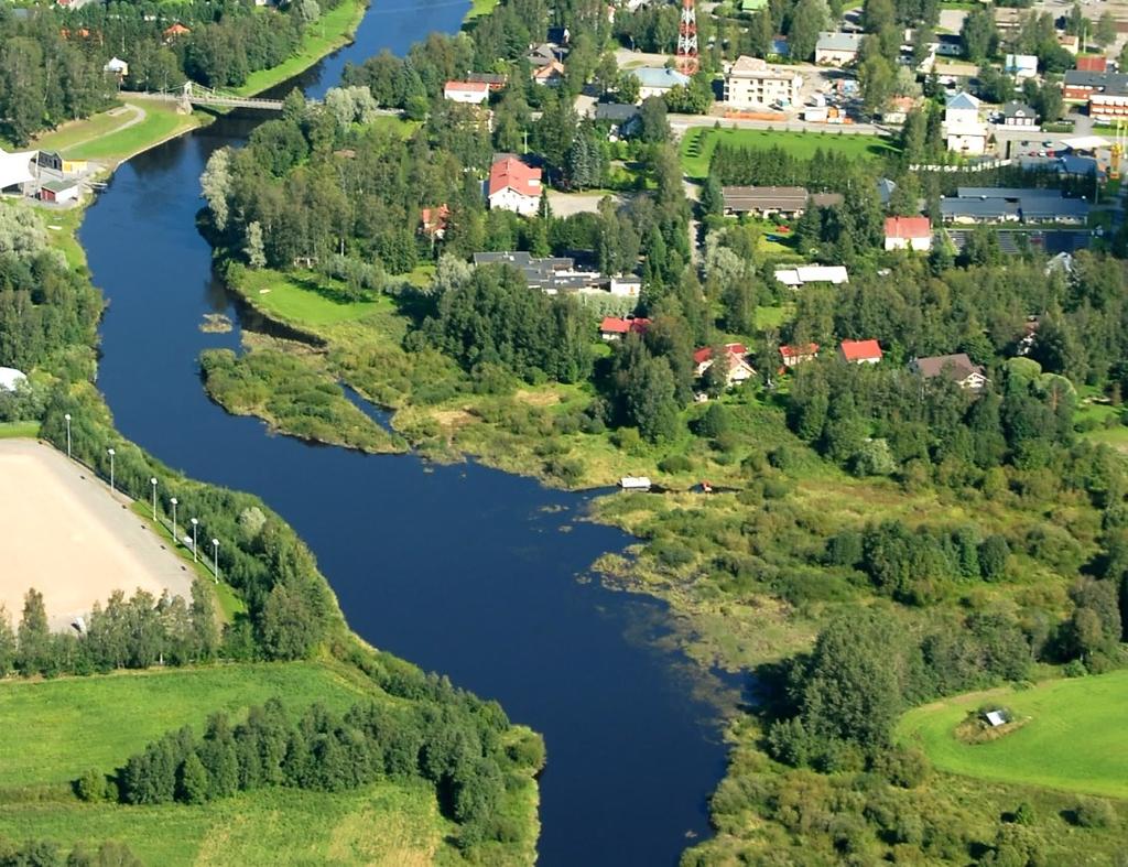 Reheviä niittylaikkuja täydentää monilajinen ranta- ja vesikasvillisuus. Pääosin lähellä jokea olevat kiiltopajualueet ovat niin tiheitä, että niissä ei ole juurikaan kenttäkerroksen kasveja.