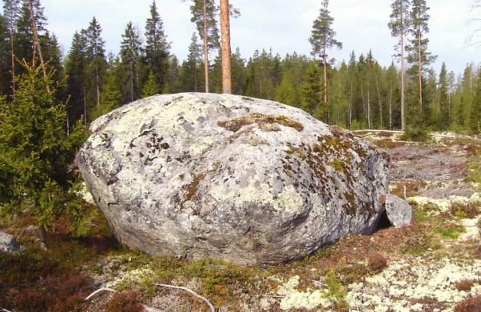 Saviprunni on paikallisesti kasvistollisesti huomioitava luontokohde. 12 ja 13.