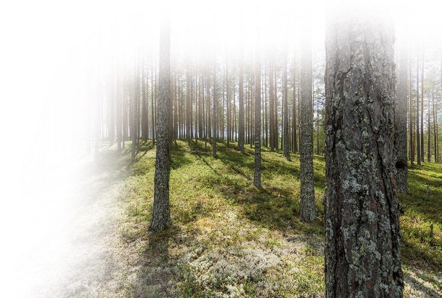 isältö UPM lyhyesti EU:n päästövähenemätavoitteet Kehittyneiden biopolttoaineiden mahdollisuudet Päästöjen