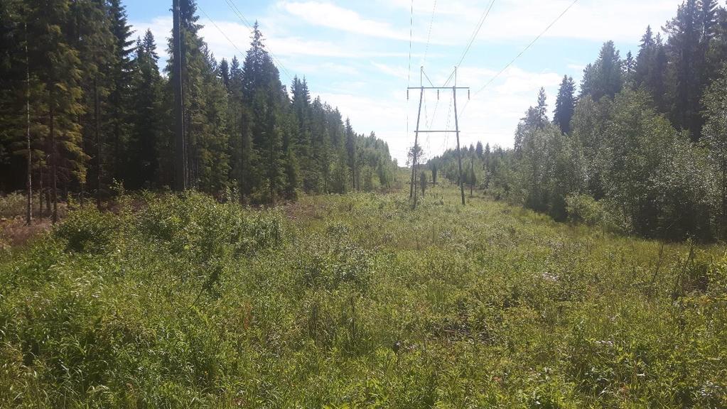 Maaninkavaaran tuulivoimapuisto - Jumisko 110 kilovoltin voimajohdon