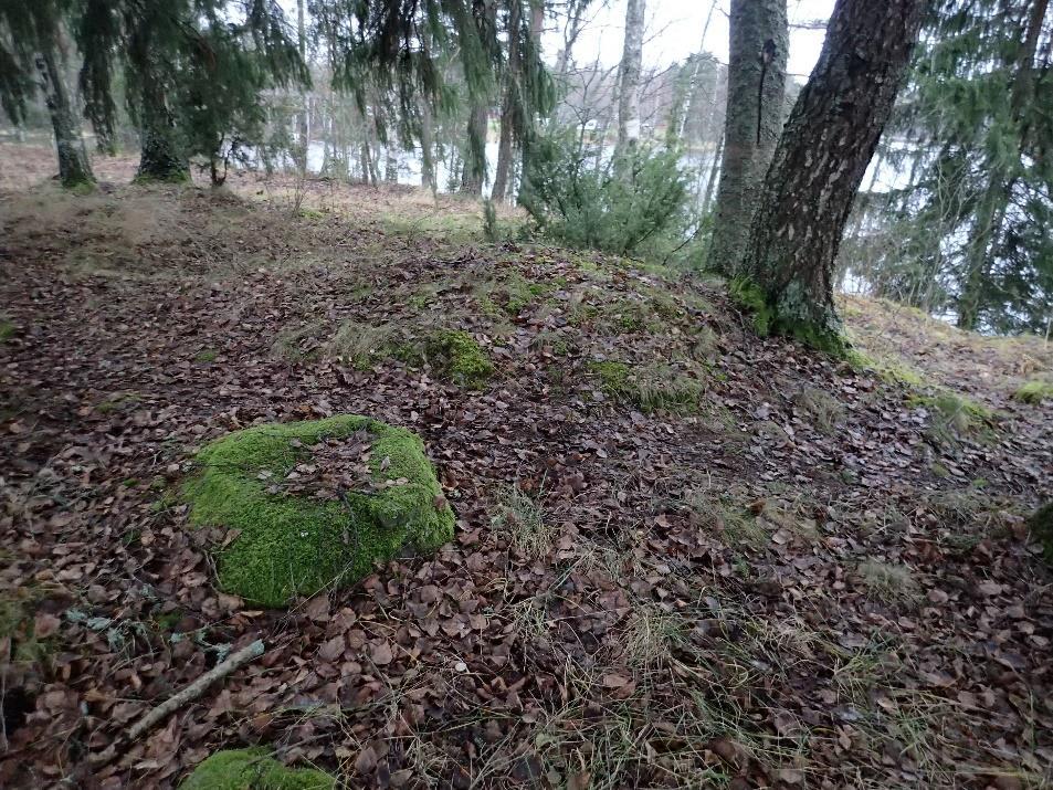 14 Röykkiö on kuvassa näkyvien koivujen vasemmalla puolella koivujen oikealla puolella maasto laskee kohti järveä. Länsilounaaseen. Röykkiö on heti koivujen vasemmalla puolella.