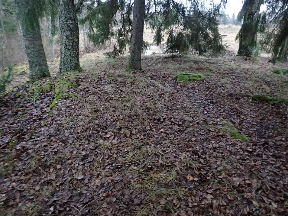 Käsipelillä tehty kaivaminen keskittyi ojien länsiosiin, metsäisen niemekkeen alueelle. Koeoja 1 Koeojan pituus oli 16,8 metriä. Ojan kaakkoisosa sijoittui pellon ja luoteisosa niemekkeen puolelle.