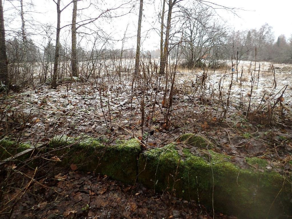 6 Muinaisjäännöksen Keho alakohteen 1 muinaisjäännösalueen pohjoisosaan tehtiin marraskuun tutkimuksissa viisi koeojaa koneellisesti sekä kaksi koekuoppaa käsin.