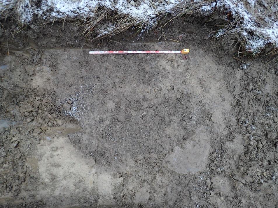Peltokerroksen paksuus koeojassa oli 10-15 cm. Löytöinä peltokerroksesta saatiin kaksi rautanaulaa sekä tiilen kappaleita.