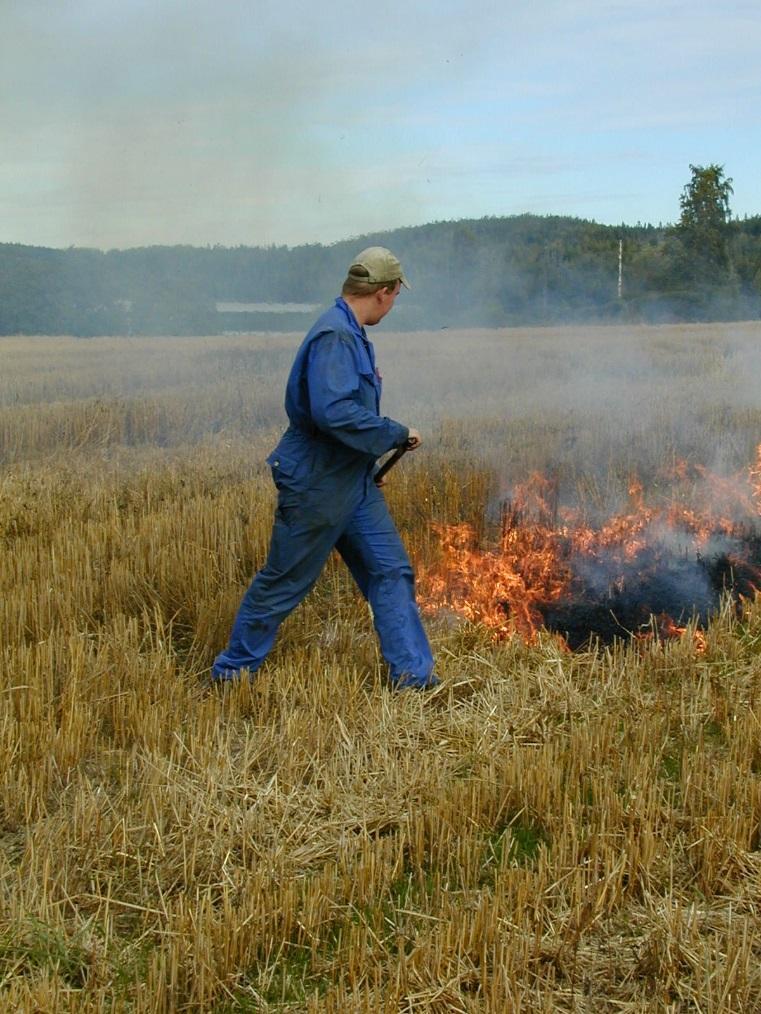 Oljen ja sängen poltto?