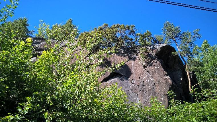 Näiden lisäksi vuonna 2010 alueelta löytyi huomionarvoinen ukontulikukka, johon aiemmissa kartoituksissa ei ole törmätty.