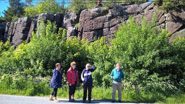Rannanvuoren kallioalueen maanomistaja ei ollut mukana keskustelussa, jota käytiin kallioalueen hoidosta. Toimenpiteet: Kallioseinämän edestä on raivattu pusikkoa viimeksi vuonna 2013.