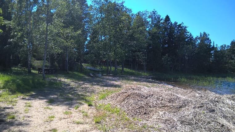 Sorapolulle sijoitetut askelkivet voisi asettaa uudelleen paikalleen. Betonilaatat olivat liikkuneet ja nousseet paljon paikoiltaan. Rantakaislikkoa oli niitetty ja niittojäte jätetty rannalle kasaan.