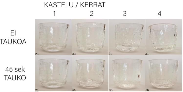 Kuva 7. Kuva 8. Kastelukertojen lisääminen vaikutti efektiin siten, että jo ennestään säröytyneistä kohdista irtosi pieniä siruja, jotka liimaantuivat lasin pintaan.