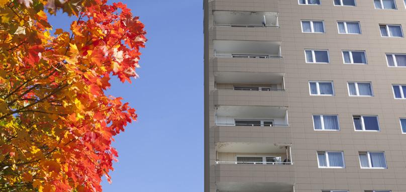 TIILILAATTA Värit ja pintavaihtoehdot GA ja GA30 tiililaatoille Vakiovärit Tekniset ominaisuudet Testi GA GA30 Paino (kg/m 2 ) 29 45 Arena Blanco Beige Salmón Rojo EN-standardi IS0 13006 UNE-EN 14411