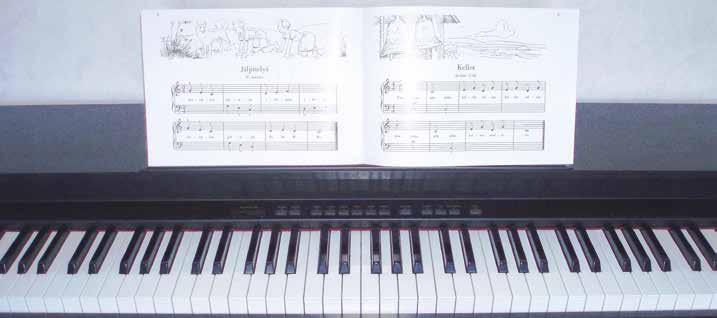 Musiikkikoulu Taiteen perusopetus musiikissa tarkoittaa tavoitteellista musiikin opiskelua omassa instrumentissa (piano, huilu) tai yksinlaulussa.