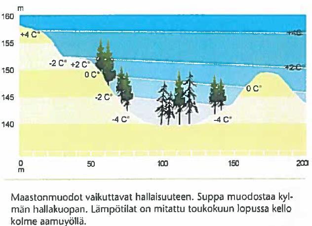 Kasvupaikkatekijät, Lämpö 17 - Halla: lämpötila laskee kasvukauden aikana pakkasen