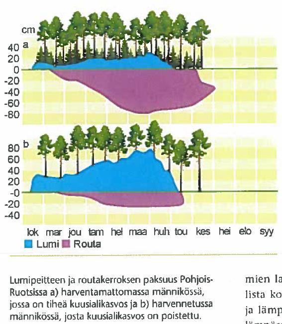 Kasvupaikkatekijät, Vesi 26 Routa: - Maan jäätymistä.