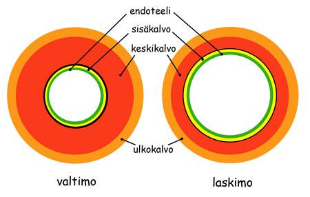 VERISUONET 1.