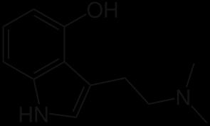 Psilosybiinin nopean defosforylaation vuoksi vaikutukset välittyvät pääasiallisesti psilosiinin kautta.