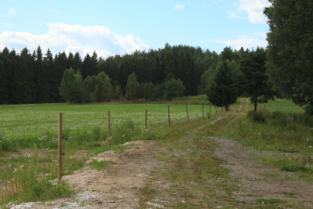 Kuva 3. Vanhatien itäpääty, kuvattu idästä.