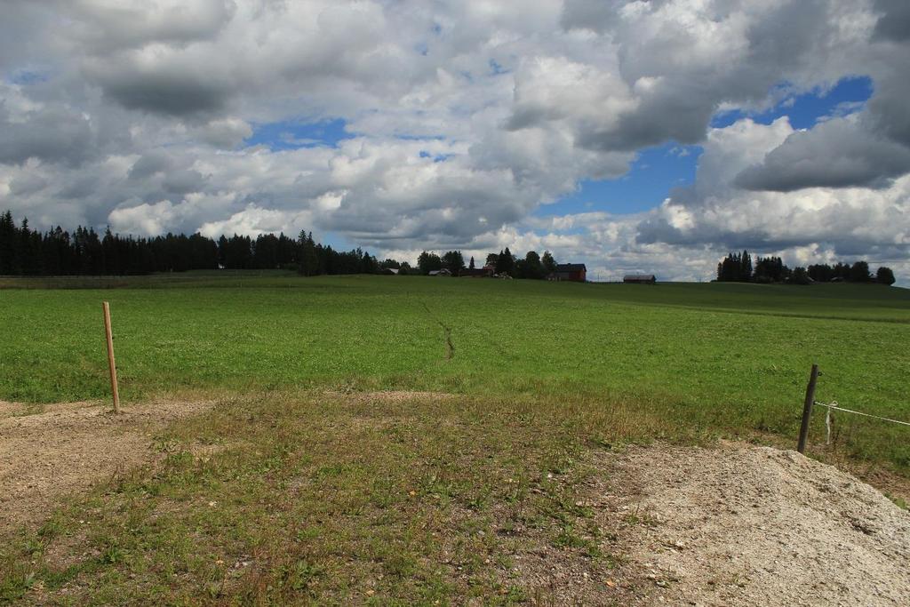 Ylinen Viipurintie, Tenhiälä.