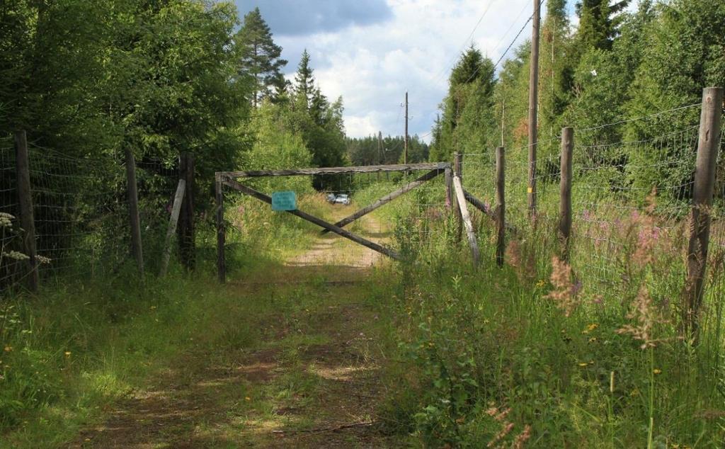 Pois käytöstä jäänyt osuus on heinikoitunut hiekkatie ja kulkuesteenä valtatielle on portti, ilmeisesti osa vanhaa hirviaitaa (kuva 6).