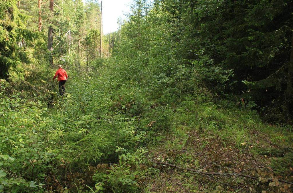 Kuva 8 (ylhäällä). Oikeassa alakulmassa on näkyvissä mahdollista vanhaa tienpohjaa.