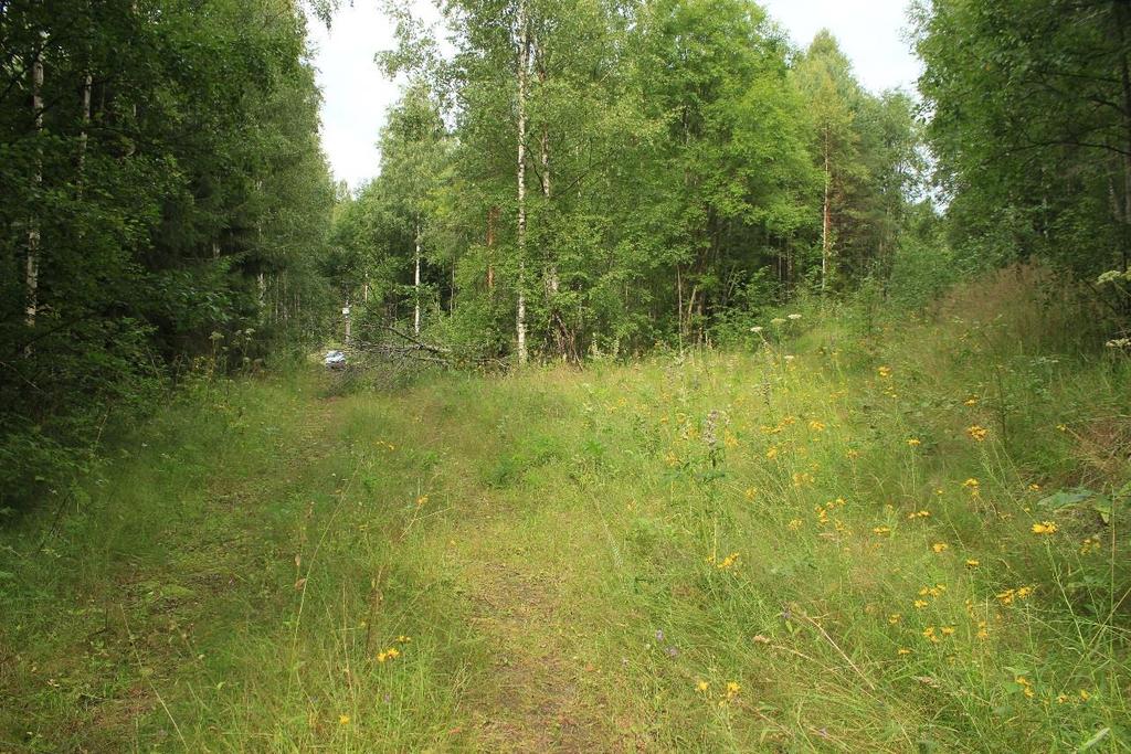 Kuva 23. Vanha risteyskohta, kuvattu kaakosta.
