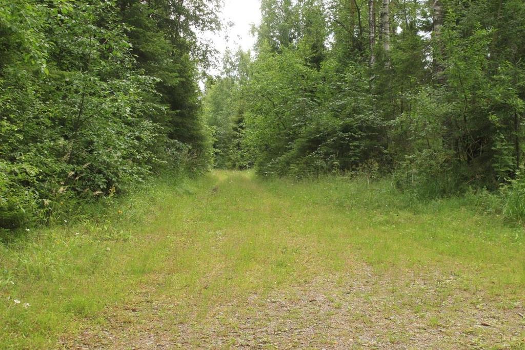 Pohjalla on tiivis karkeasorainen pinnoite, mutta tie on lähes ympäröivän maan tasalla. Tie on vielä ajokelpoinen, mutta on jäänyt hyvin vähälle käytölle tai lähes kokonaan pois käytöstä (kuva 1).