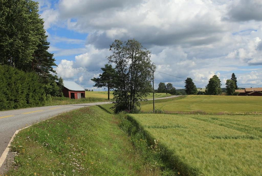 Liisantie voi olla myös uudempi, jolloin vanha tielinja on todennäköisesti tuhoutunut valtatien ja sitä reunustavan penkereen rakennuksen yhteydessä.