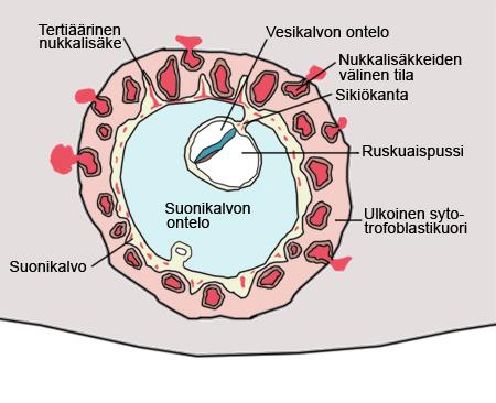 Istukan