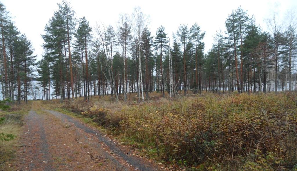 3 Maa ja kallioperä Maaperäkartan mukaan suunnittelualue on