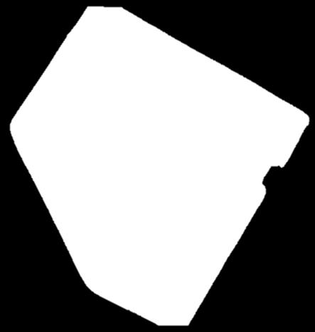 Puinti