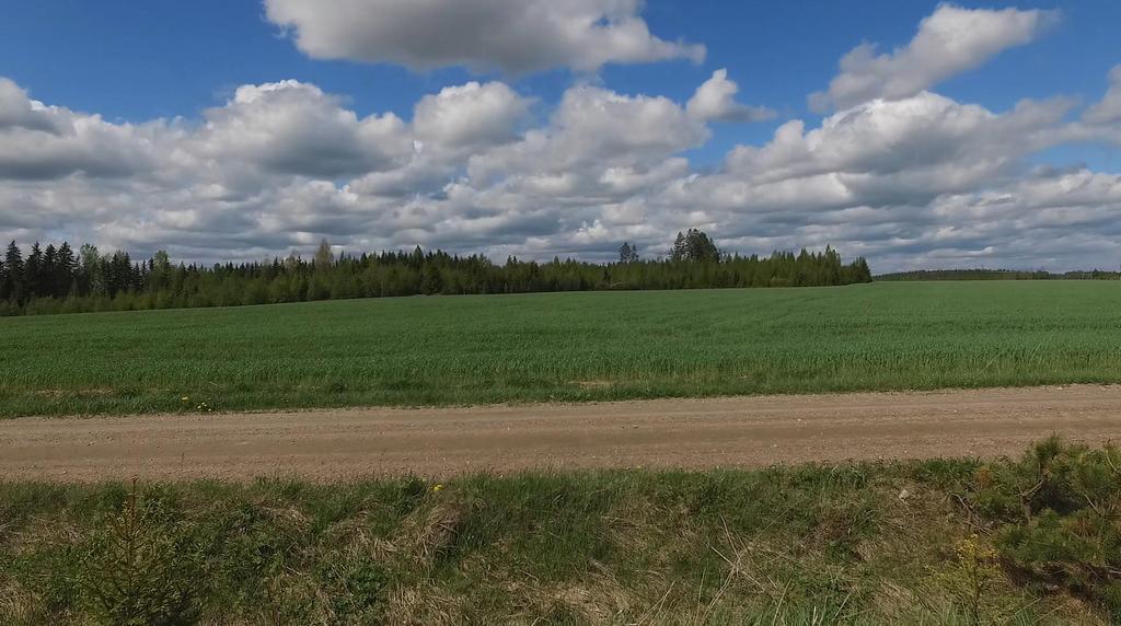 19.4.2018