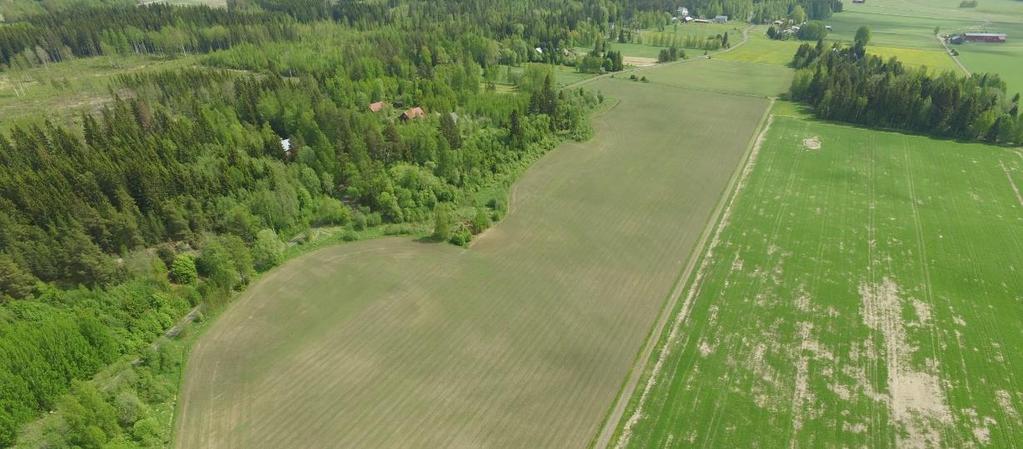 Tavallinen
