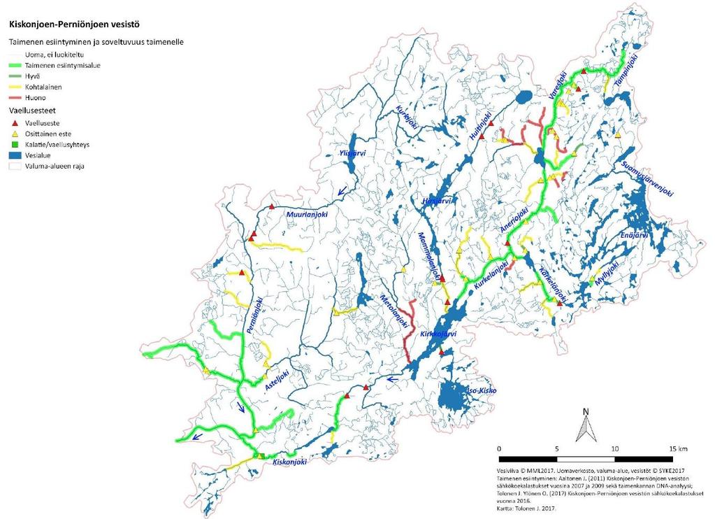 Kiskonjoen vesistön taimenista tehtyjen DNA-analyysien mukaan Kiskonjoen taimenkanta ryhmittyi viiteen eri ryhmään: Perniönjoen merivaelteinen, Perniönjoen paikallinen, Kiskonjoen alaosan