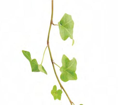 2 MACRO DESIGN Kylpyhuone elämän kaikkiin hetkiin Kylpyhuoneessa tapahtuu! Naurua, jutustelua, ajatuksia, päätöksiä. Täällä voit sulkea maailman pois ja olla vain oma itsesi. Sinä valitset.