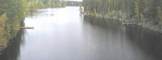 Alueeseen sisältyy pääosin merkittävä korpialue. Korpialue on kuusivaltainen. Niukan kenttäkerroksen lajistoon kuuluu lähinnä lakka ja pallosara.