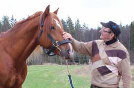 Toto-ravit MIKKELI lauantaina.. klo 1.00 rata 1 ABC Kylmäveriset p. 000 e, 0 tasoitusajo m 1 000 e, 00 0 m m enintään 000 e Palk. 000-0-00-00-00-00 e klo 1.