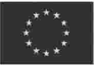 LIITE IX EUROOPPALAISEN PIDÄTYSMÄÄRÄYKSEN NOJALLA PIDÄTETYILLE HENKILÖILLE ANNETTAVAN OIKEUKSIA KOSKEVAN ILMOITUKSEN SUUNTAA ANTAVA MALLI Direktiivi 2012/13/EU tiedonsaantioikeudesta