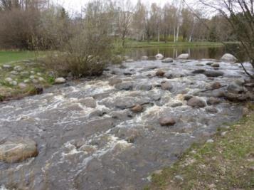 Kalatierakenteet (Fish passage facilities, FAO/EIFAC) Luonnonmukainen