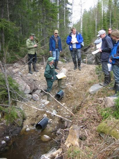 Keinot kuormituksen hallintaan metsätaloudessa 1. Vanhat ojitusalueet - Ennallistuminen ja ennallistaminen? 2.