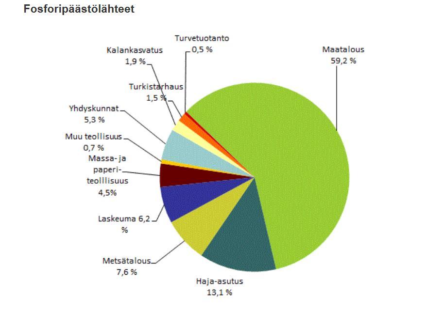 Mistä Suomessa metsätalouden osuus