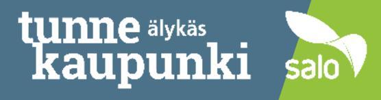 Taloussuunnitelma