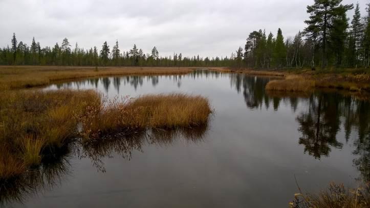 luoteiskärjessä sijaitseva laajempi, pohjavesivaikutteinen lampialue.