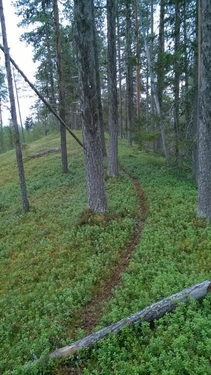 Pohjavesialueen luoteispäässä harjuselänne on kapea ja jyrkkärinteinen ja ympäristöstään selvästi erottuva (kuva 7 vas.).