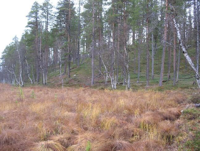 4/17 Maaperäkairaukset tehtiin Lapin ELY-keskuksen omalla kairauskoneella. Kairauspaikoille asennettiin kairauksen jälkeen pohjaveden havaintoputki.