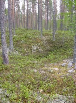 Asuinpaikka kuvattu