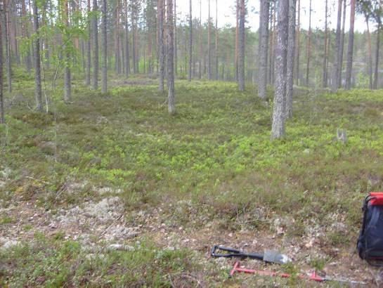 järven ranta on