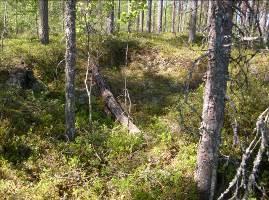 6. Pyytöjärvi N PERUSTIEDOT Mj-tyyppi asuinpaikka Ajoitus historiallinen Rauhoitusluokka 2 Lukumäärä 1 Karttalehti Koordinaatit I: 679188; P: 7002279 Koordinaattiselite mökin keskipiste Pinta-ala
